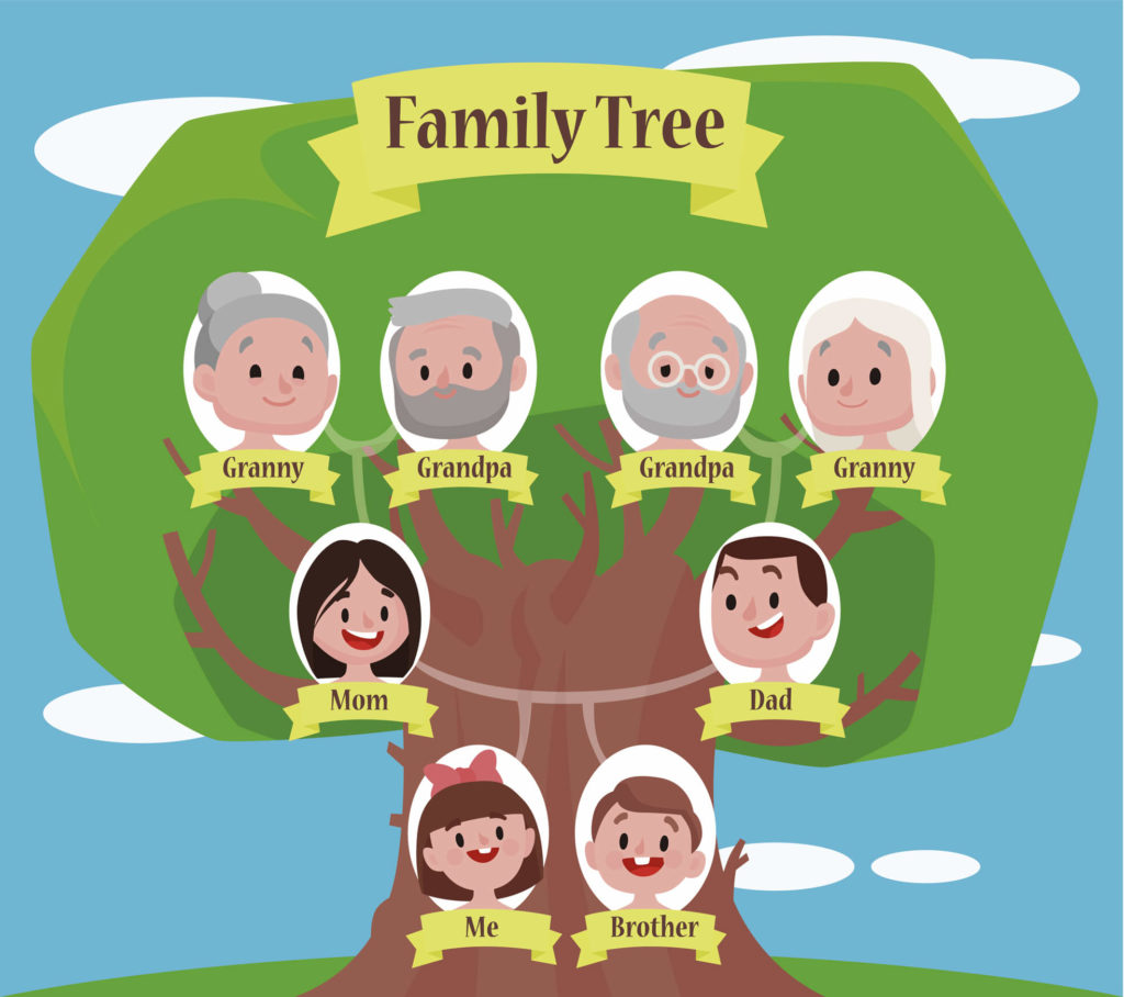 arbol genealogico para niños